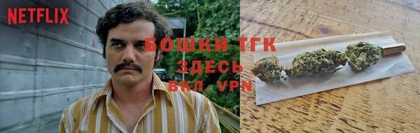 молекула духа Алексин