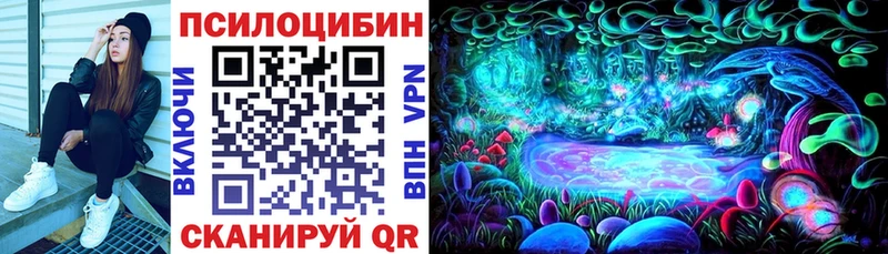 где найти   Ишимбай  Псилоцибиновые грибы GOLDEN TEACHER 