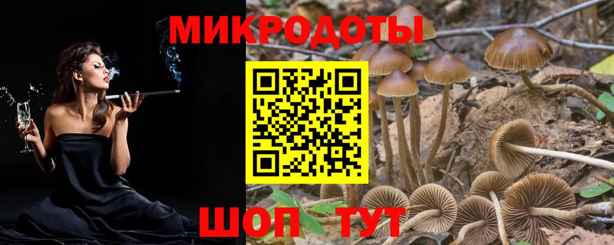 что такое   Галлюциногенные грибы MAGIC MUSHROOMS  Вход с VPN  Ишимбай 